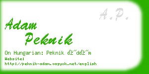 adam peknik business card